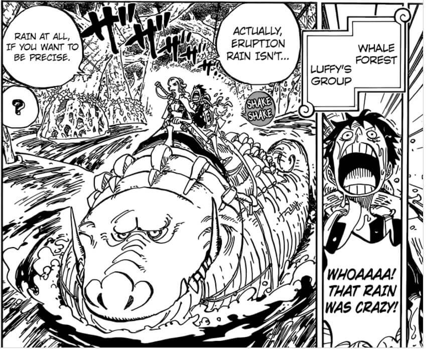 Manga One Piece Capitulo 806