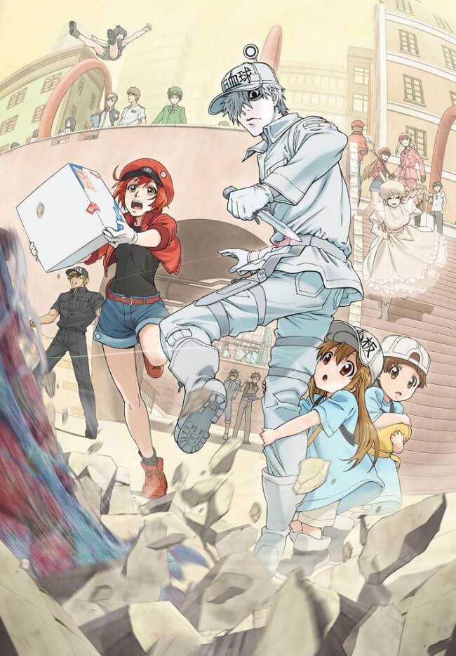 Hataraku Saibou - Anime revela Novo Vídeo Promocional | Hataraku Saibou - Anime vence Prémio nos Magnolia Awards