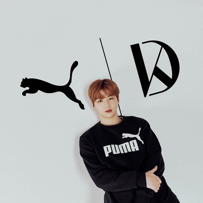 Kang Daniel anunciado como Modelo da Puma Coreia