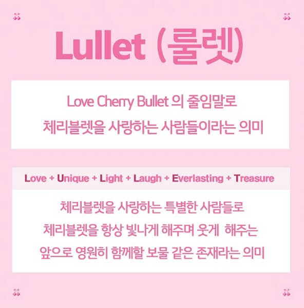 Cherry Bullet anunciam Nome do Fandom