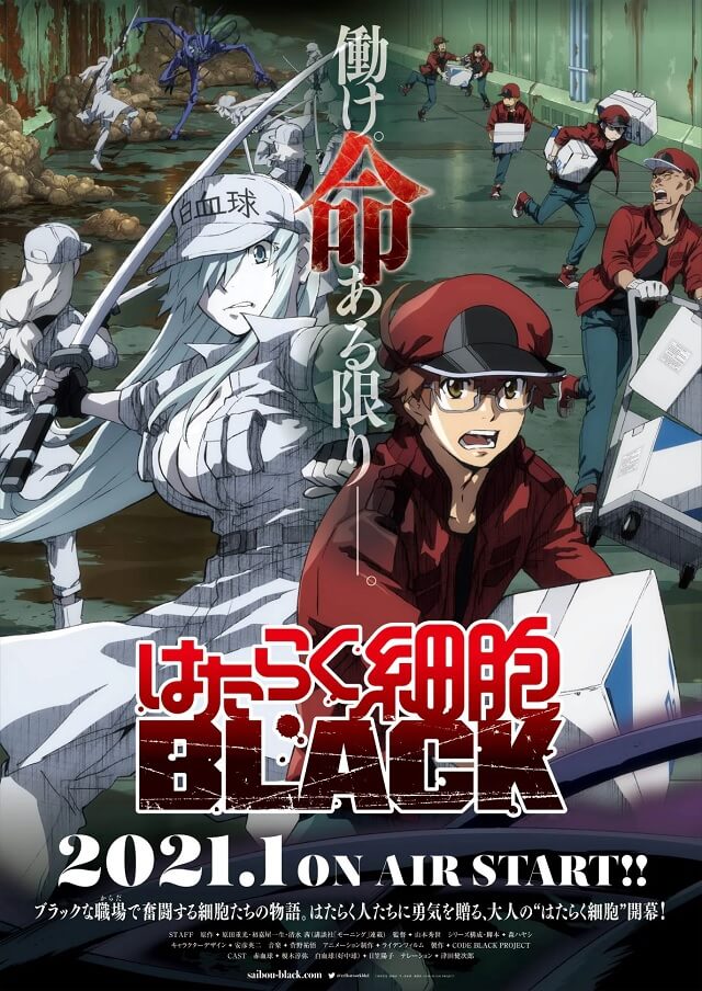 Hataraku Saibou Black - Anime recebe Video Promo