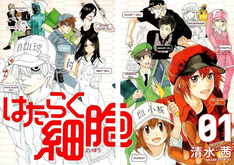 Hataraku Saibou - Manga TERMINA em Janeiro
