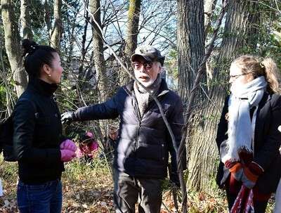 Hayao Miyazaki junta-se a voluntários para limpar Floresta de Totoro