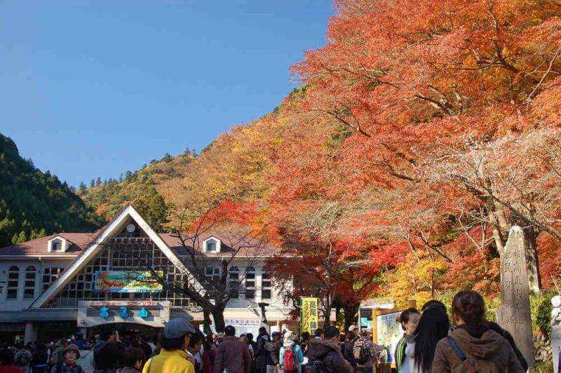 Mount Takao Autumn Leaves Festival 2019 lista festivais japao outono 2019