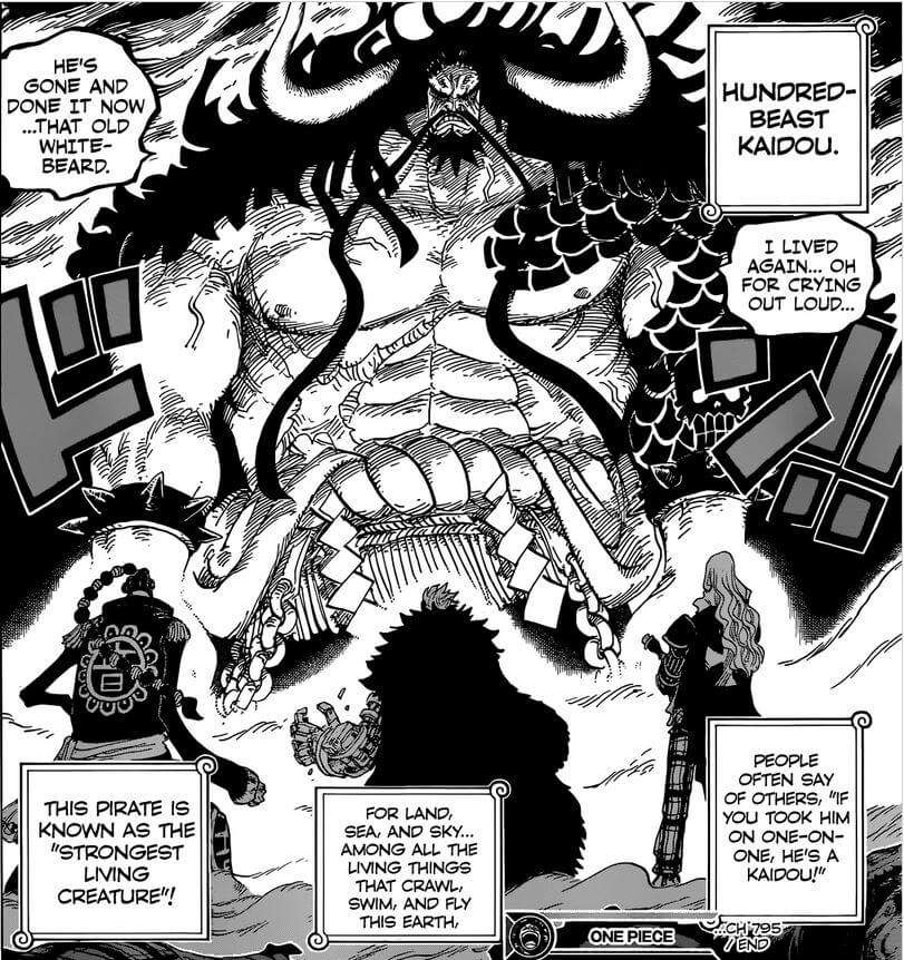 One Piece - Capítulo 795