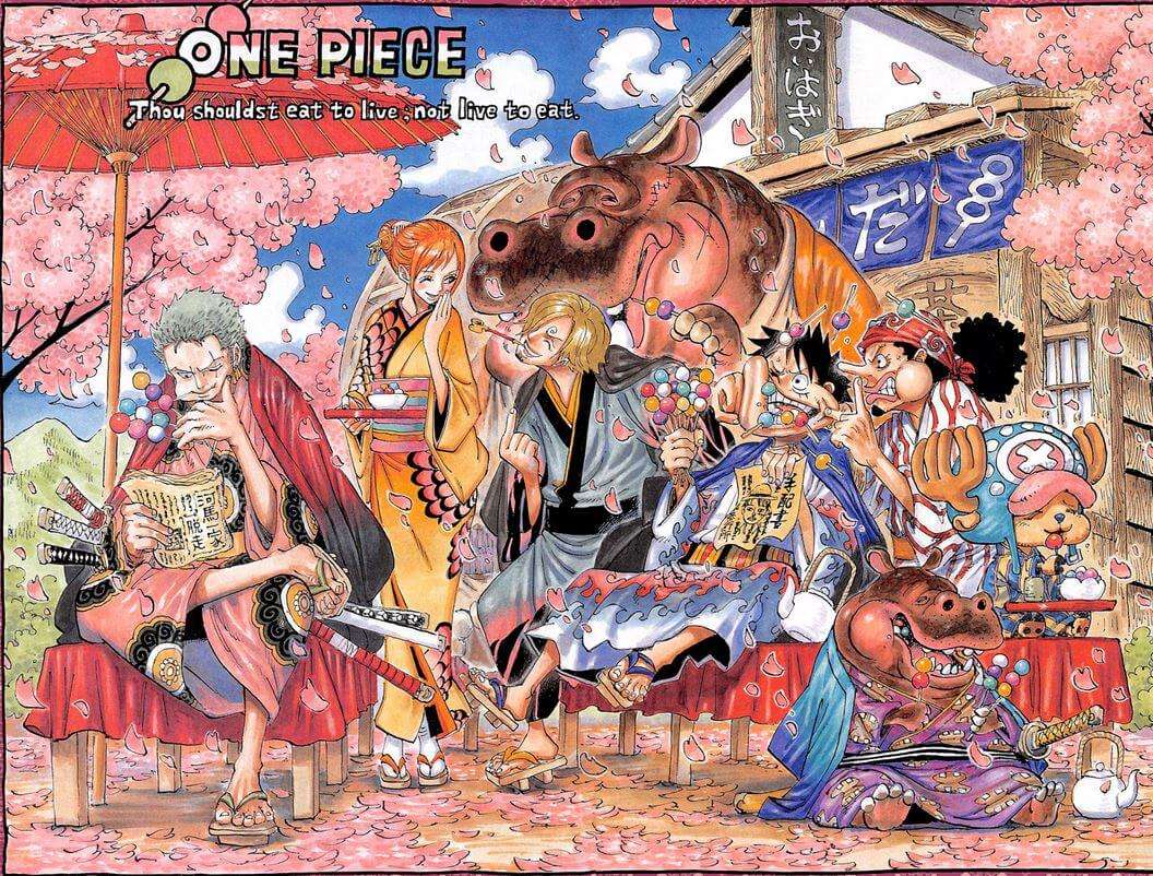 One Piece | Capítulo 802