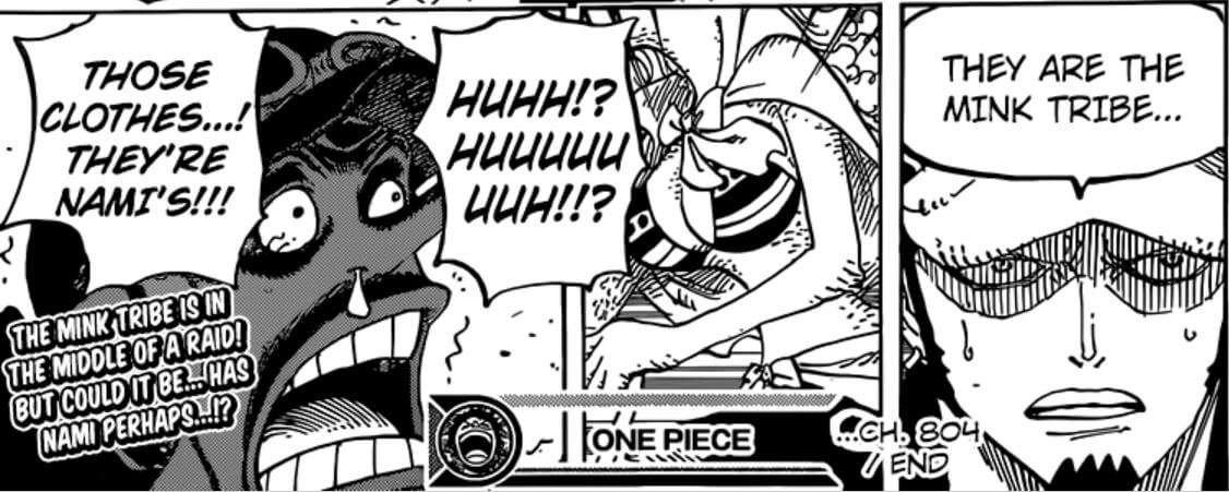 One Piece | Capítulo 804