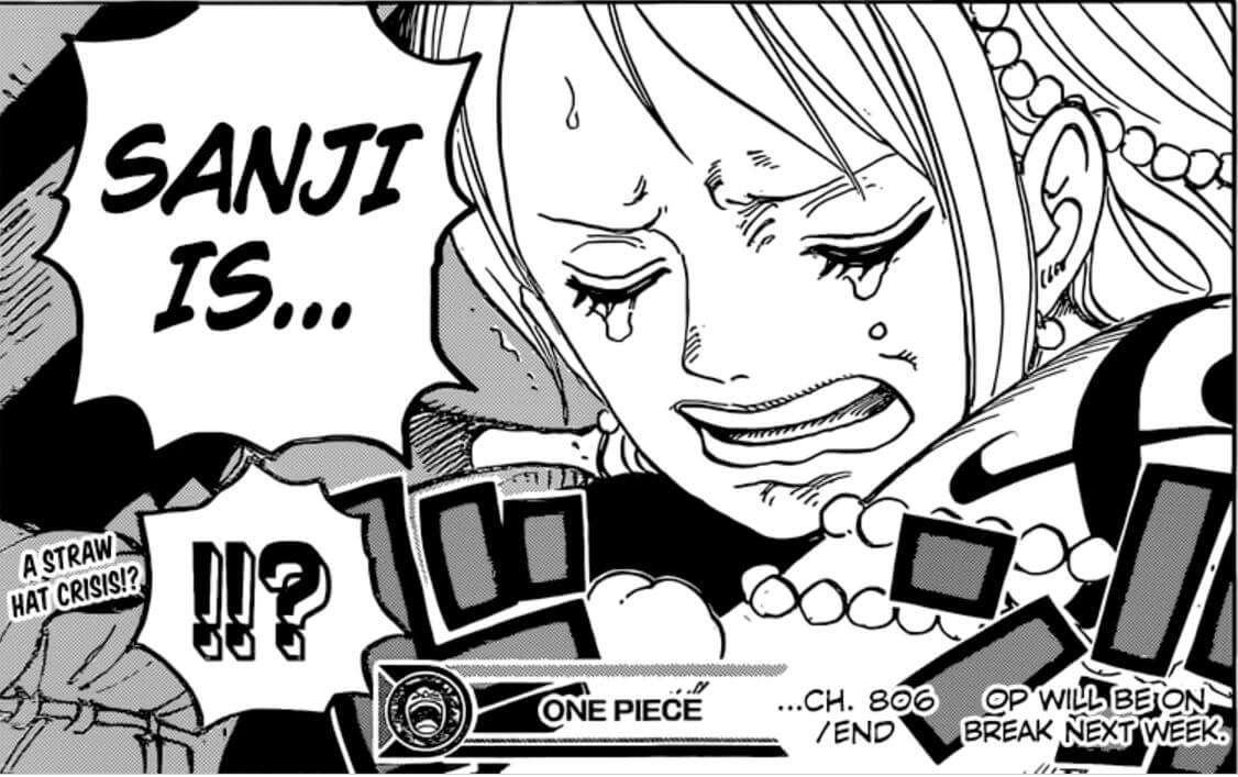 One Piece 806 Nami Luffy