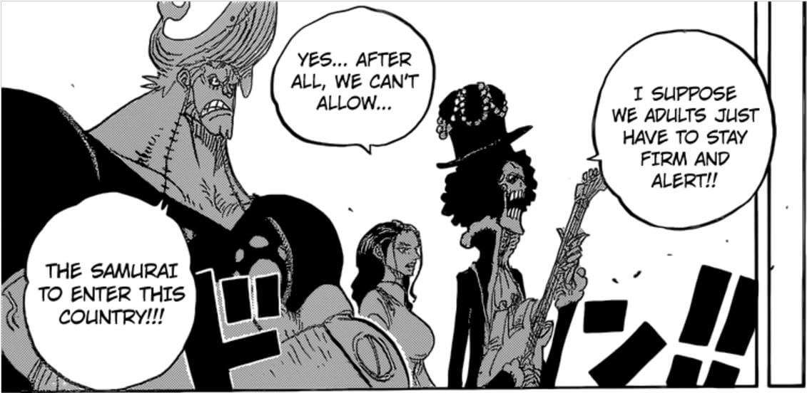 One Piece 815 Robin Brook Franky