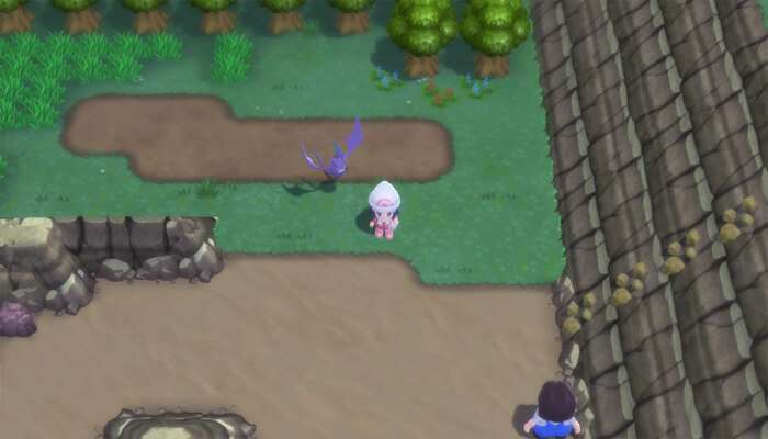 Pokémon Brilliant Diamond & Shining Pearl - Overworld com Crobat a seguir-nos
