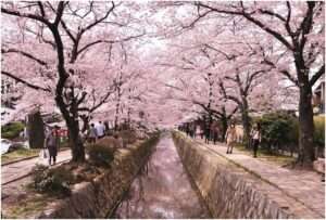Quioto - Guia do Gaijin para o Japão — ptAnime