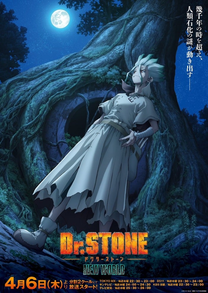 Dr Stone 3ª Temporada revela Novo Poster e ED